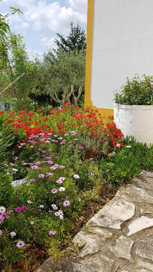 Casa Da Palmeira Outeiro da Corticada Eksteriør billede