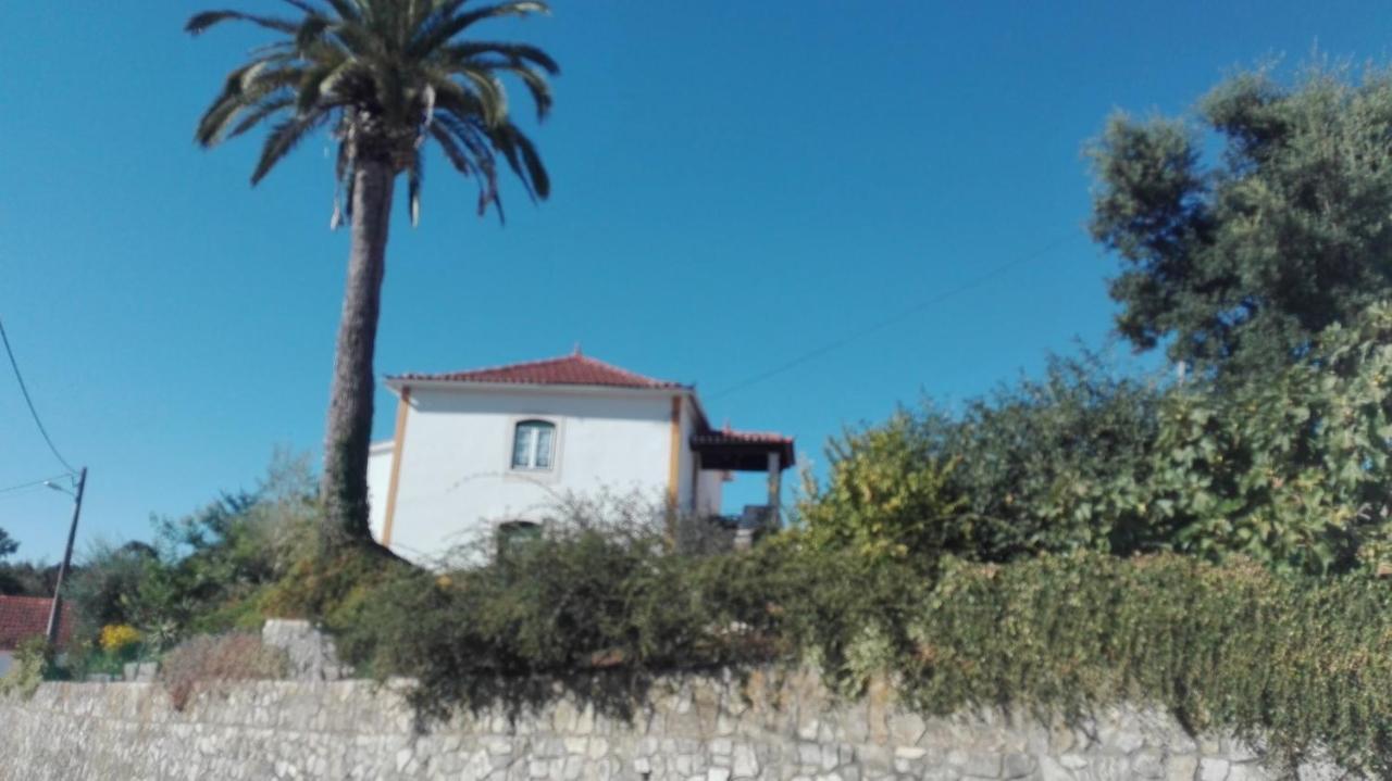 Casa Da Palmeira Outeiro da Corticada Eksteriør billede